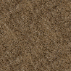 Revived and Restored Living Room