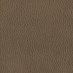 Elksworth Living Room