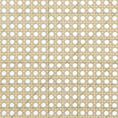 Rayo Rattan Cane Back Accent Chair with Padded Seat Black