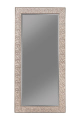 Best Furniture Outlet - Coaster - Rollins 32 x 66 Inch Rectangular Floor Mirror Silver - 901997