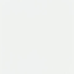 Roberto 4-Panel Room Divider Folding Shoji Screen White