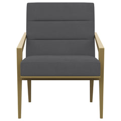 Kirra Upholstered Metal Arm Accent Chair Dark Grey