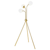 Best Furniture Outlet - Coaster - Miley 66-inch Spherical Bulb Tripod Tree Floor Lamp Gold - 920293