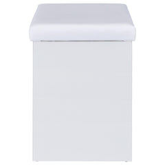 Bunbury Makeup Vanity Table Set Storage Mirror and Stool White