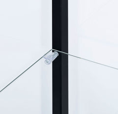 Delphinium 4-Shelf Clear Glass Curio Display Cabinet Black