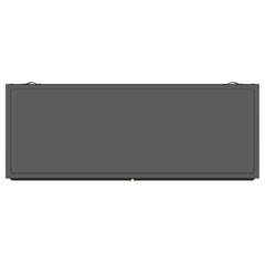 Dalia 2-door Accent Storage Cabinet with Shelving Black