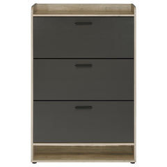 Denia 3-tier Engineered Wood Shoe Cabinet Grey