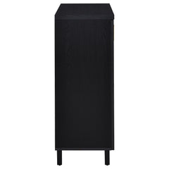 Brixton 2-door Entryway Shoe Storage Cabinets Black