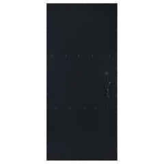 Zayan 32 x 71 Inch Floor Mirror LED Lighting Black Gloss