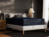 Best Furniture Outlet - Ashley Furniture - DreamCloud Ultra Hybrid Mattresses - Twin XL - M13871