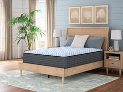Best Furniture Outlet - Ashley Furniture - Destin Cove Plush Mattresses - Queen - M33131