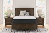 Best Furniture Outlet - Ashley Furniture - Limited Edition PT Mattresses - California King / White - M41251