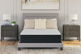 Best Furniture Outlet - Ashley Furniture - Palisades Firm Mattresses - Twin / Gray/Blue - M41511