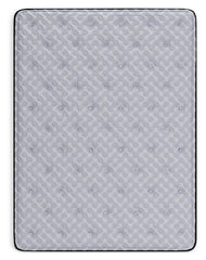Anniversary Edition Plush Mattresses