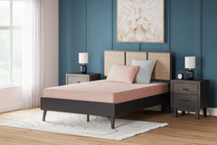 Best Furniture Outlet - Ashley Furniture - iKidz Coral Mattresses - Twin and Pillow 2/CN / Coral - M43111