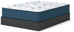 Limited Edition Plush 3.0 Mattresses