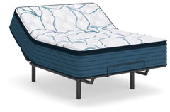 Limited Edition Plush PT 3.0 Mattresses