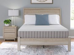 Terra Sleep Firm Mattresses