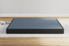Best Furniture Outlet - Ashley Furniture - Low Profile Queen Foundation - Queen Foundation / Black - M78X32