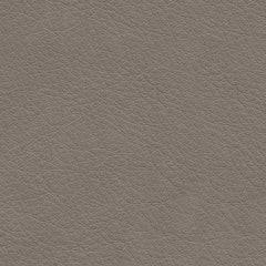 5Z-Comfort Living Room