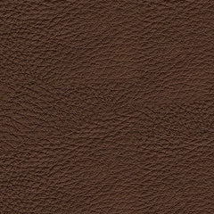 Knightington Living Room