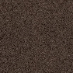 Crossplex Living Room