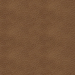 Trasimeno Power Reclining Sofa, Loveseat and Recliner