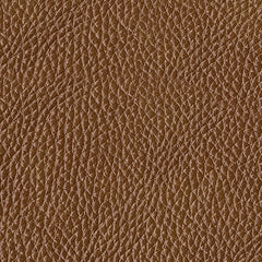 Temmpton Living Room