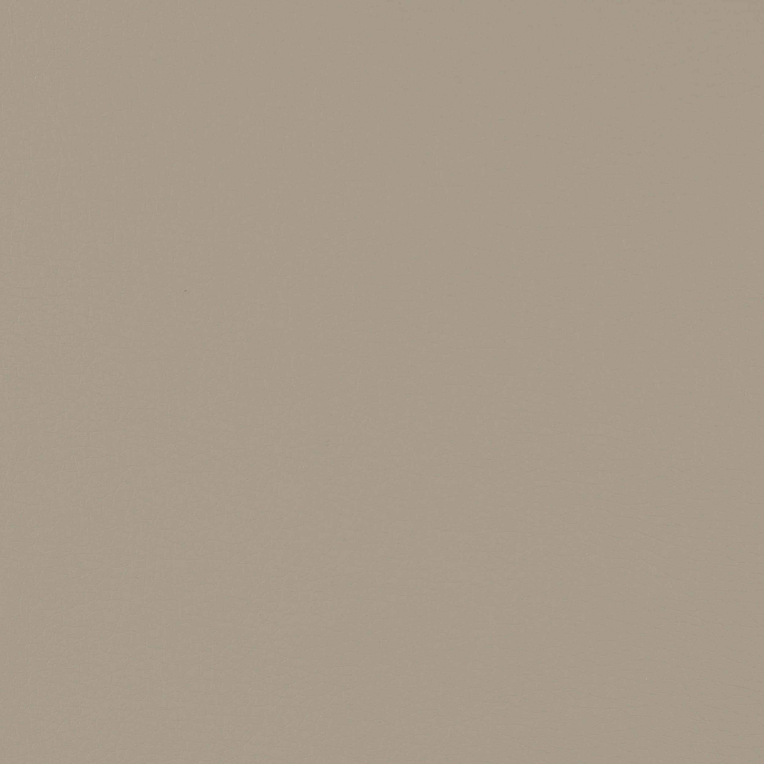 Caballo Polypropylene Dining Side Chair Tan (Set of 2)
