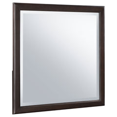Best Furniture Outlet - Coaster - Emberlyn Dresser Mirror Brown - 223064