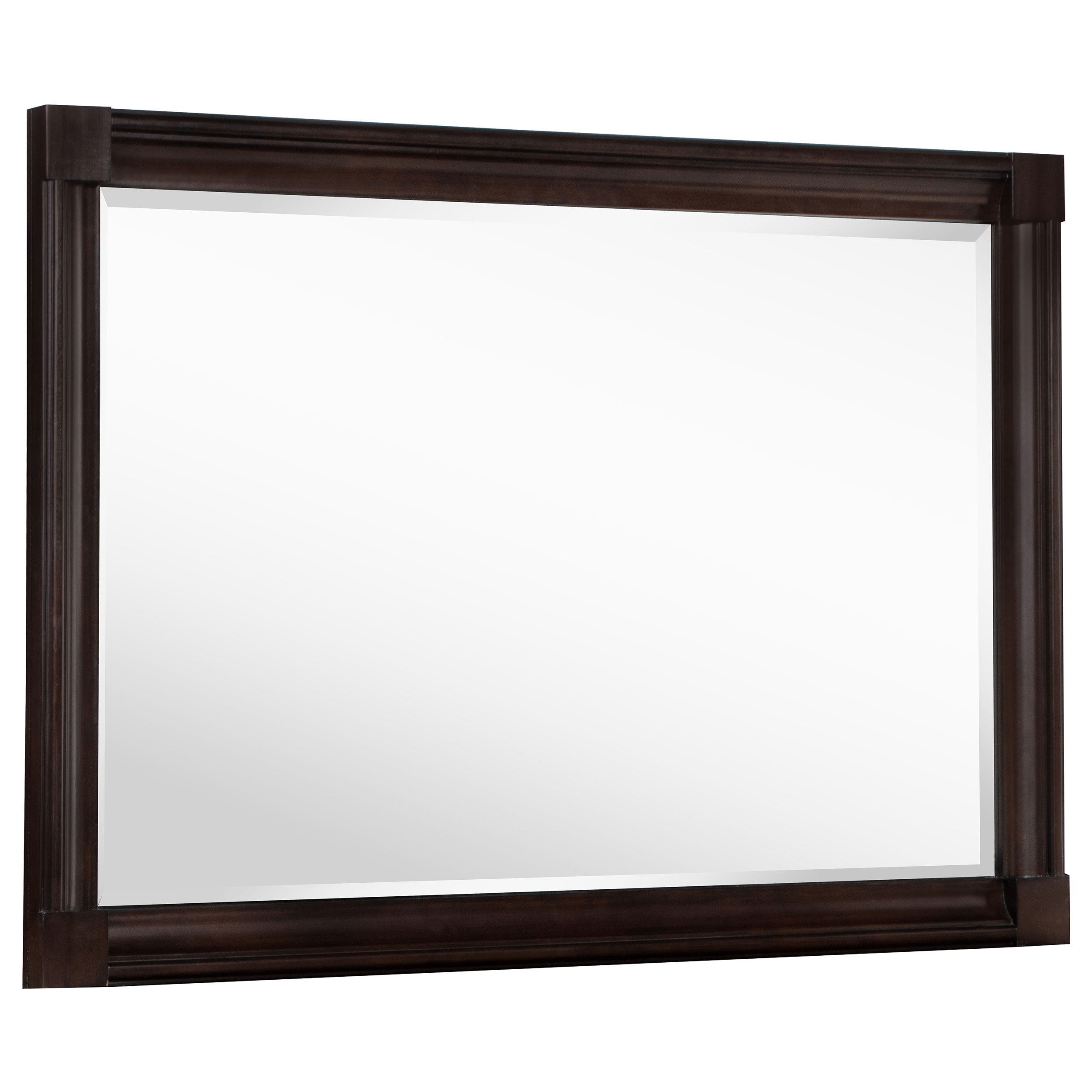 Best Furniture Outlet - Coaster - Andover Dresser Mirror Dark Oak - 223634