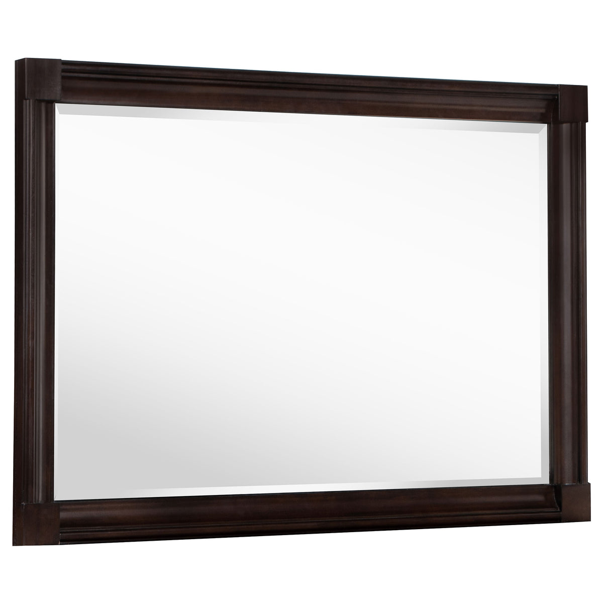 Best Furniture Outlet - Coaster - Andover Dresser Mirror Dark Oak - 223634
