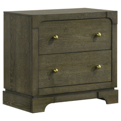 Best Furniture Outlet - Coaster - Gran Park 2-drawer Nightstand Bedside Table Dark Cocoa - 224932
