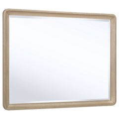 Best Furniture Outlet - Coaster - Ladera Dresser Mirror Light Elm - 225084