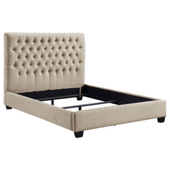 Best Furniture Outlet - Coaster - Chloe Upholstered Queen Panel Bed Oatmeal - 300007Q