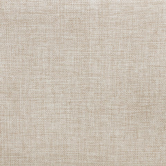Devon 57-inch Upholstered Queen Panel Bed Beige
