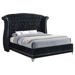 Best Furniture Outlet - Coaster - Barzini Upholstered Eastern King Wingback Bed Black - 300643KE