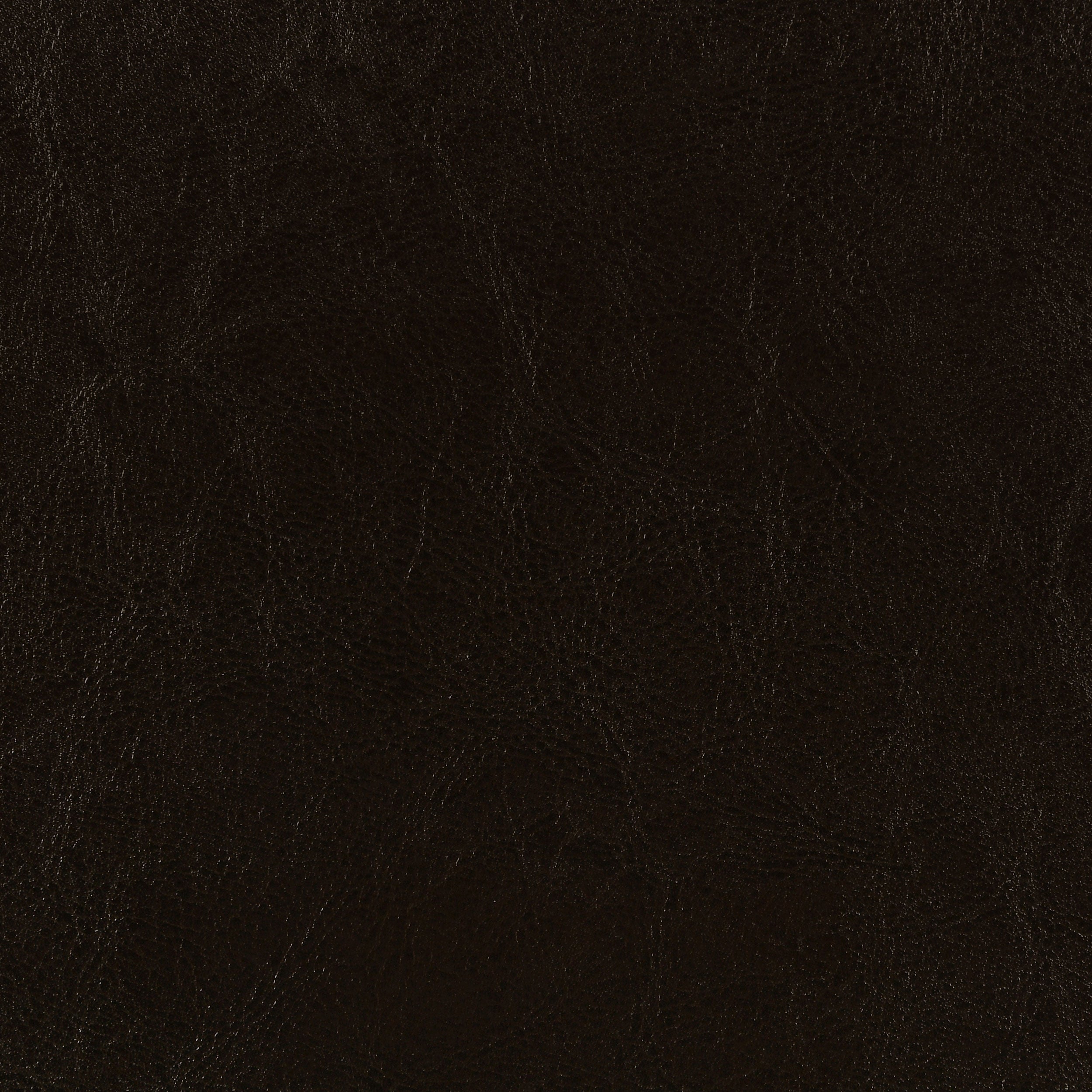 Dorian Faux Leather Upholstered Queen Panel Bed Brown