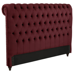 Best Furniture Outlet - Coaster - Devon 57-inch Upholstered California King Headboard Wine Red - 360341KWB1