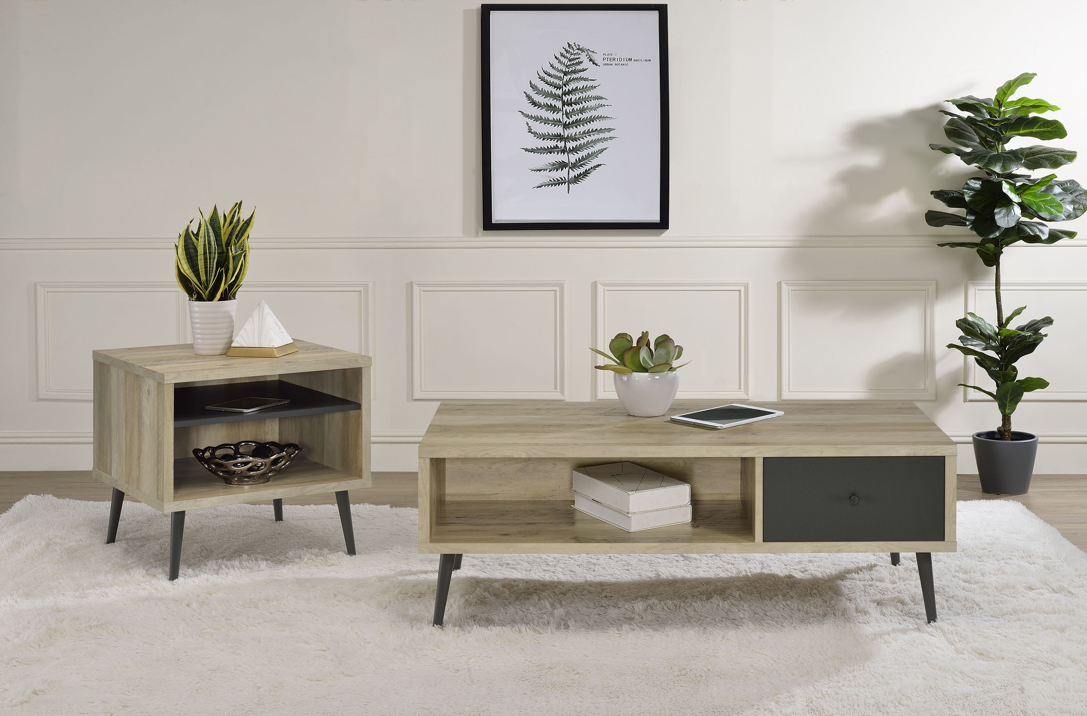 Best Furniture Outlet - Coaster - Welsh 2-piece Coffee and End Table Set Distressed Pine - 701038-S2