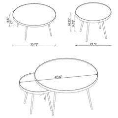 Kaelyn 2-piece Round Mirror Top Nesting Coffee Table Gold