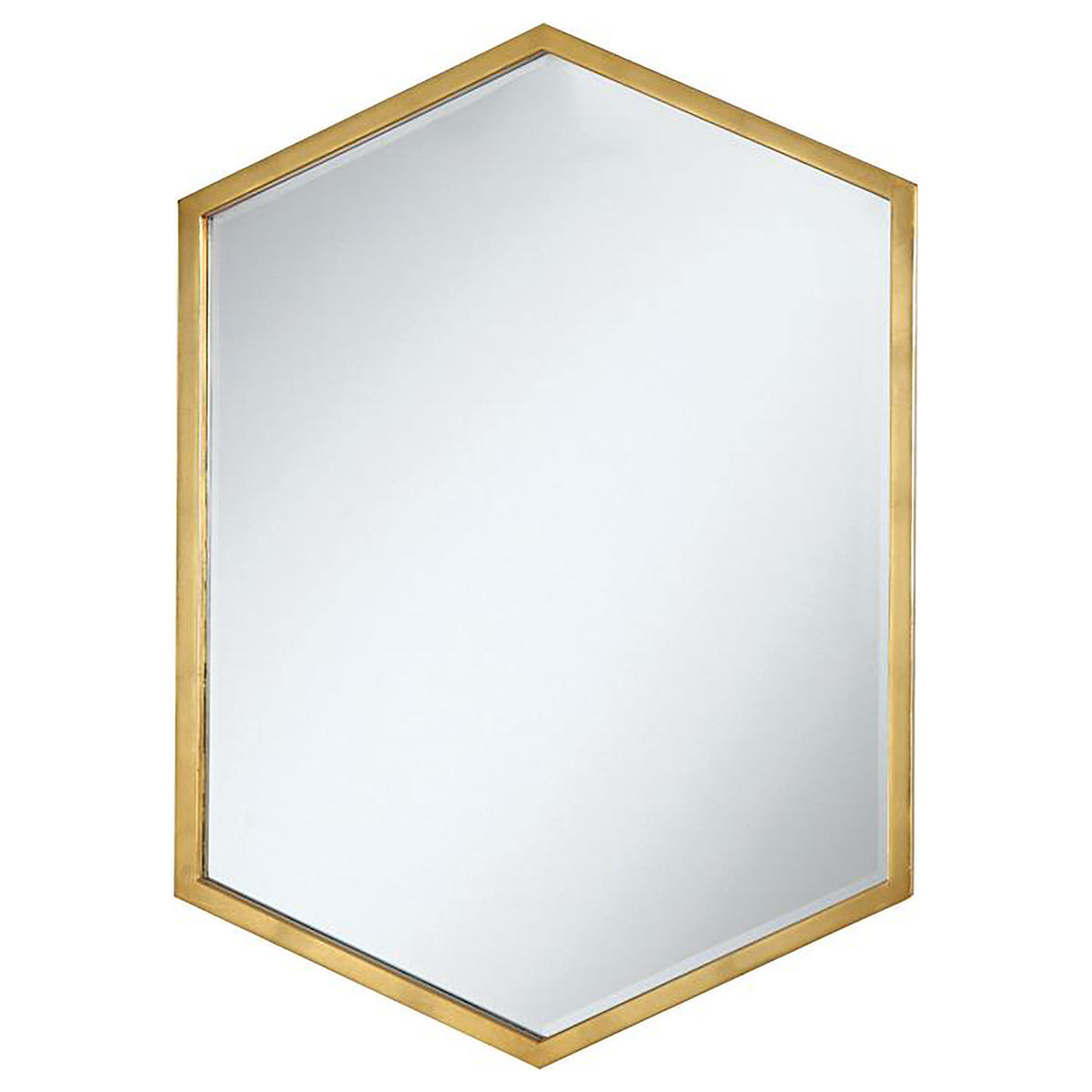 Best Furniture Outlet - Coaster - Bledel 24 x 34 Inch Hexagonal Wall Mirror Gold - 902356