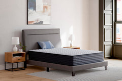 Best Furniture Outlet - Ashley Furniture - Anniversary Edition Firm Mattresses - King - M42041
